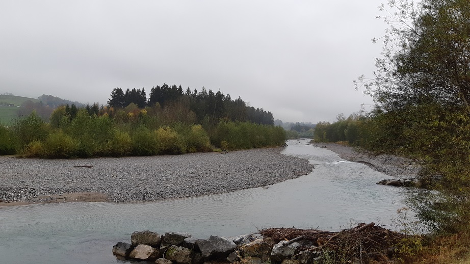 Obermaiselstein 2019 (13)